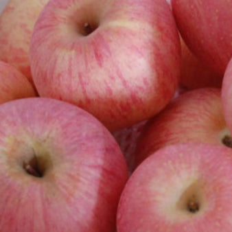 🍎 Fuji Apples – 1 KG Pack