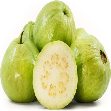 💚 Fresh Guava – 1 KG Pack